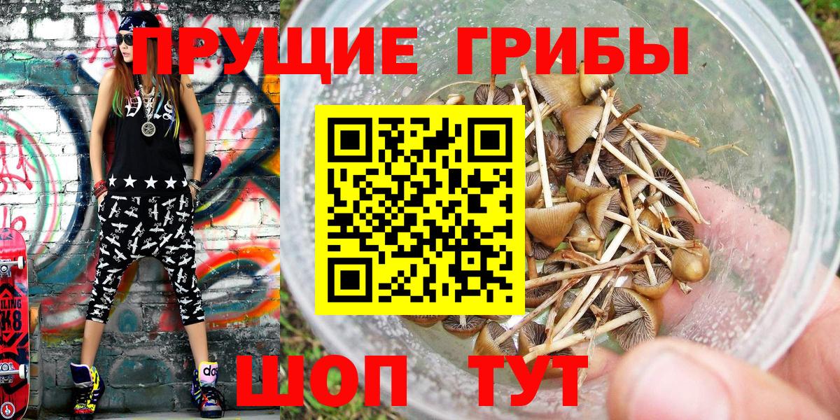 Галлюциногенные грибы прущие грибы  Вход с VPN  Орехово-Зуево  Галлюциногенные грибы GOLDEN TEACHER 