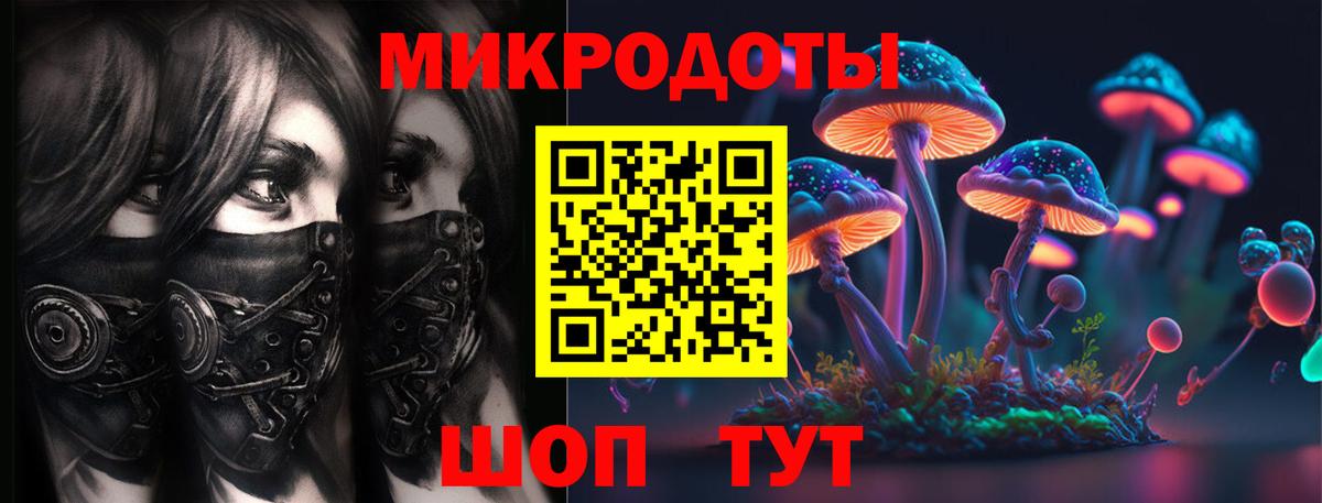Псилоцибиновые грибы прущие грибы Орехово-Зуево